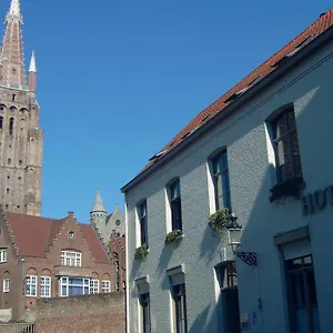 Bonobo Bélgica