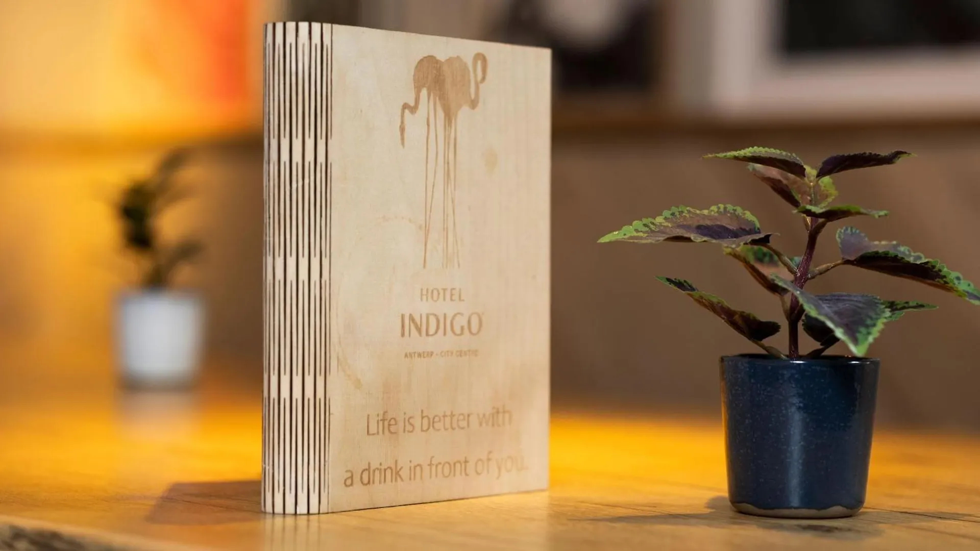 Hotel Indigo Antwerp City Centre By Ihg Belgium